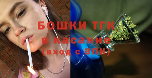 шишки Белокуриха