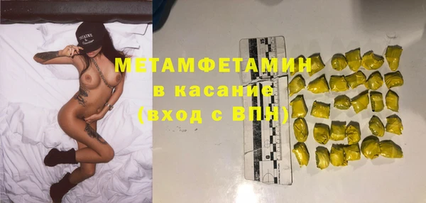 шишки Белокуриха