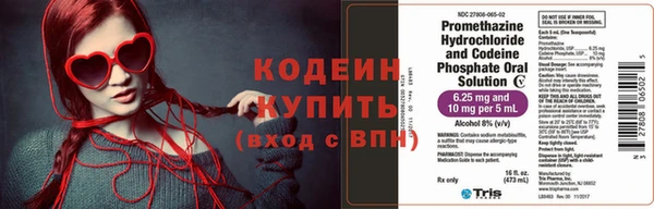 шишки Белокуриха