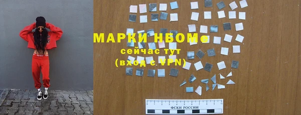 шишки Белокуриха