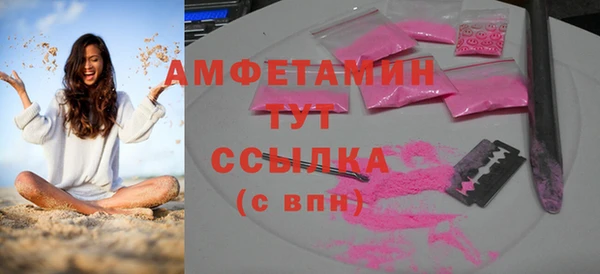 шишки Белокуриха