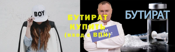 шишки Белокуриха
