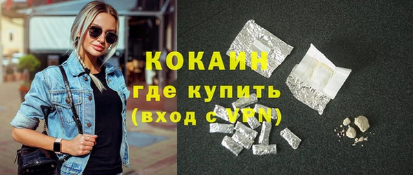 шишки Белокуриха