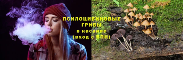 шишки Белокуриха
