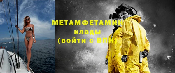 шишки Белокуриха