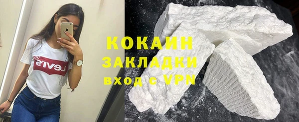 шишки Белокуриха
