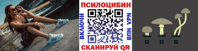 Псилоцибиновые грибы Psilocybine cubensis  купить закладку  Макаров 